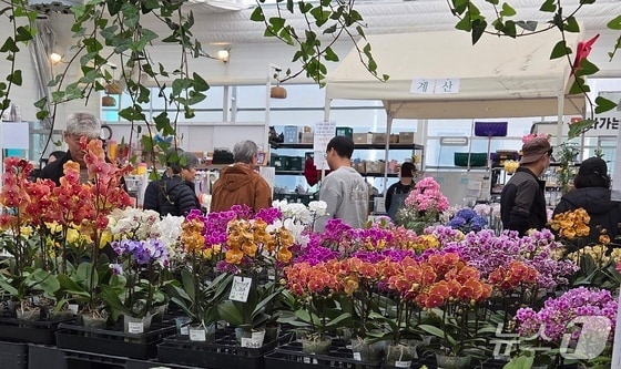 22일 낮 12시께 전북 전주시 완산구의 한 화훼단지에 방문객들이 모여 식물을 고르고 있다.2026.3.22/뉴스1 문채연 기자