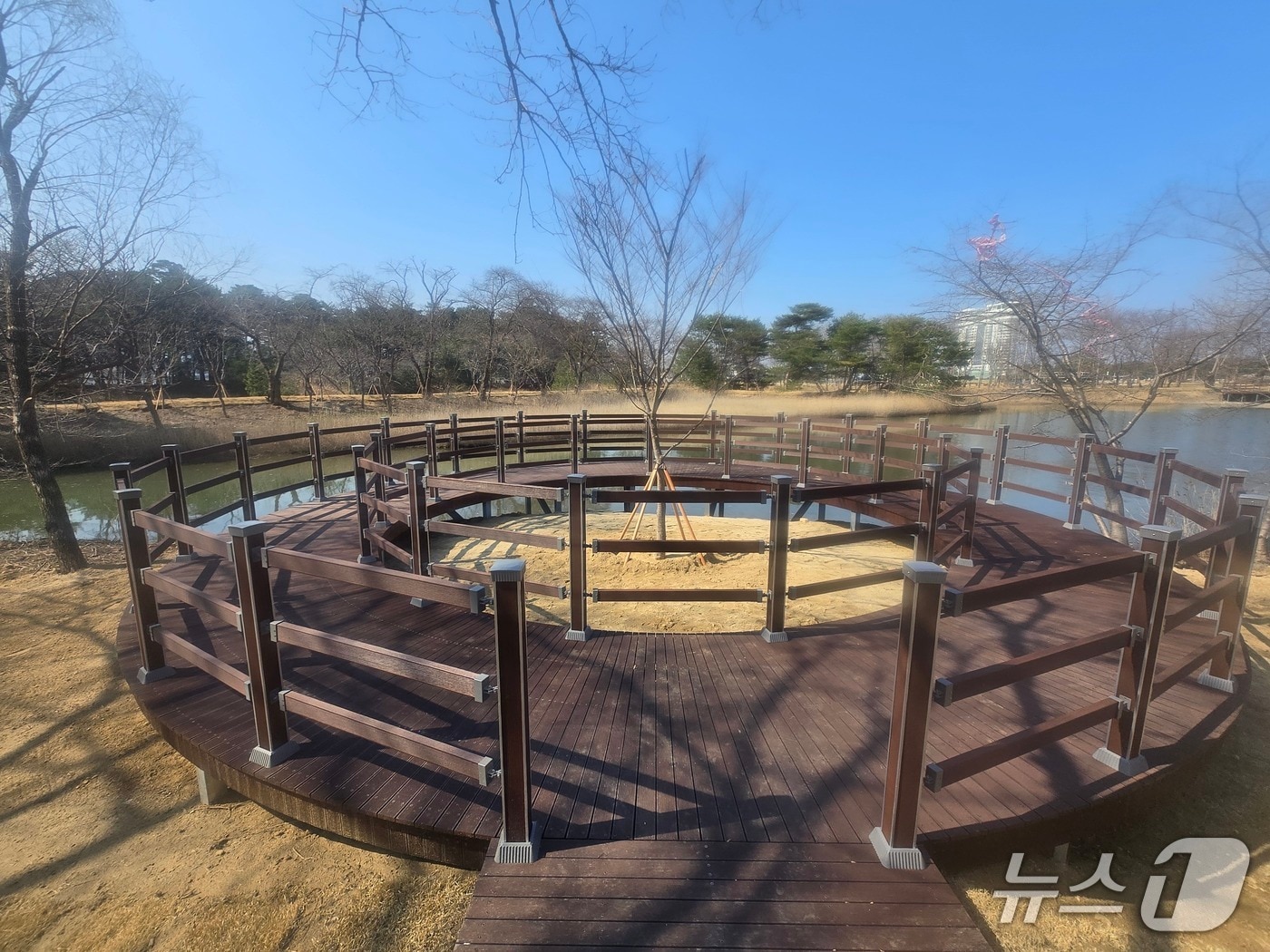 달빛품은 호수정원.(강릉시 제공, 재판매 및 DB 금지) 2026.3.23/뉴스1