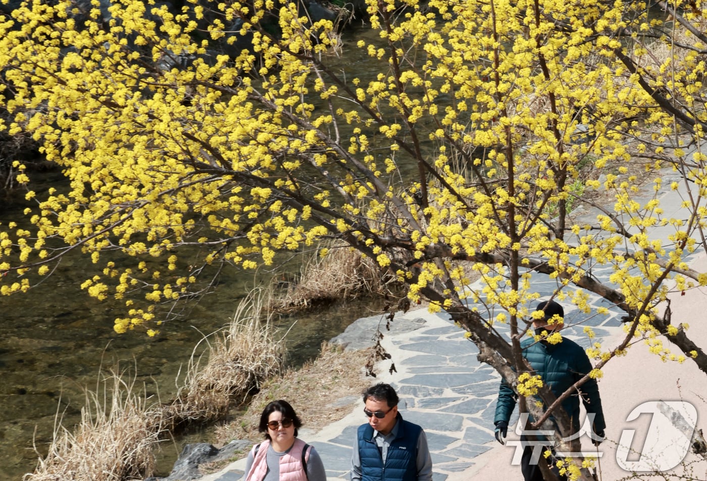 날씨 자료 사진. 2026.3.23 ⓒ 뉴스1 이호윤 기자