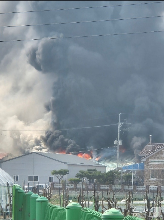 23일 강원 동해시 이도동 식품업체 창고 화재 현장.(독자제공, 재판매 및 DB 금지) 2026.3.23/뉴스1