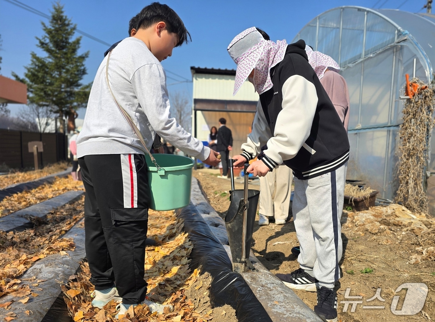 괴산 감물초 '어린 농부의 산책' 텃밭 프로젝트 진행 모습.(괴산증평교육지원청 제공. 재판매 및 DB금지)