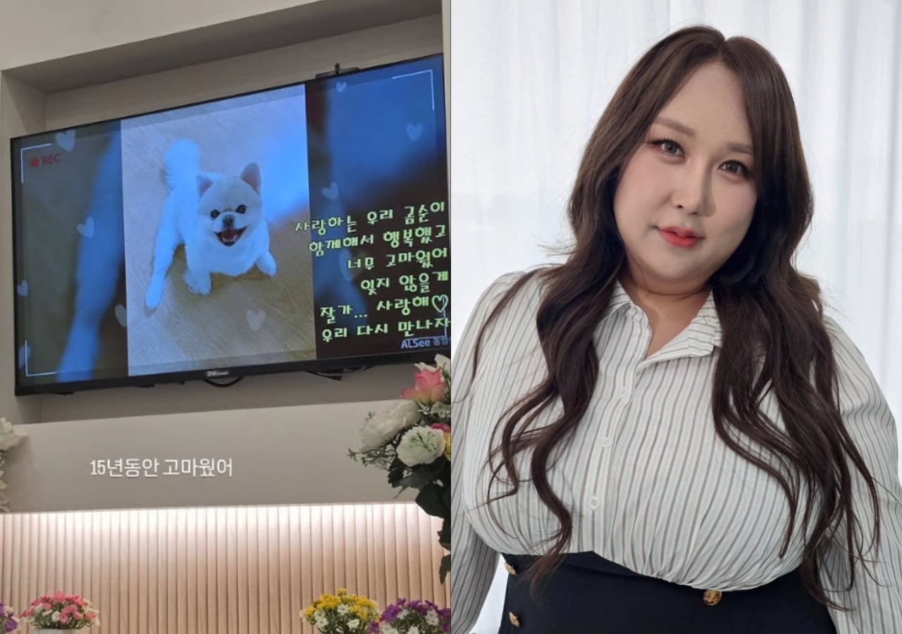 풍자 인스타그램