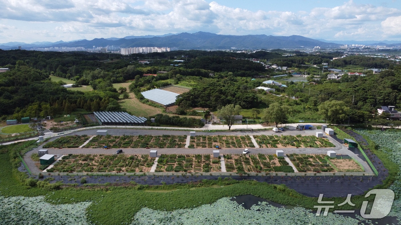 경산시,도시농업 공영농장 전경(경산시 제공. 재판매 및 DB금지)/뉴스1
