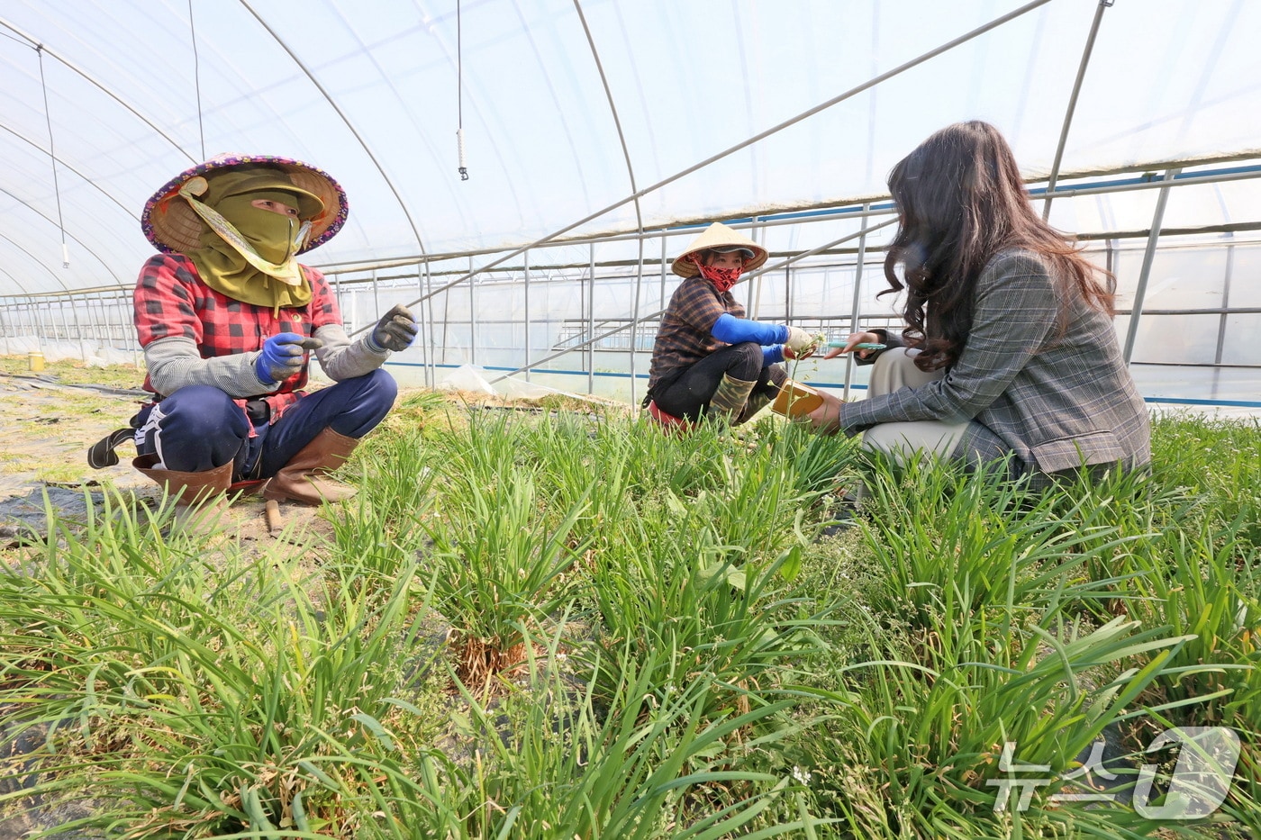 오는 26일부터 라오스 계절근로자 33명과 베트남 계절근로자 72명의 단체입국을 시작으로 5월까지 총 274명이 전북 임실군에 순차적으로 입국한다.(임실군제공, 재판매 및 DB금지)2026.3.24/뉴스1