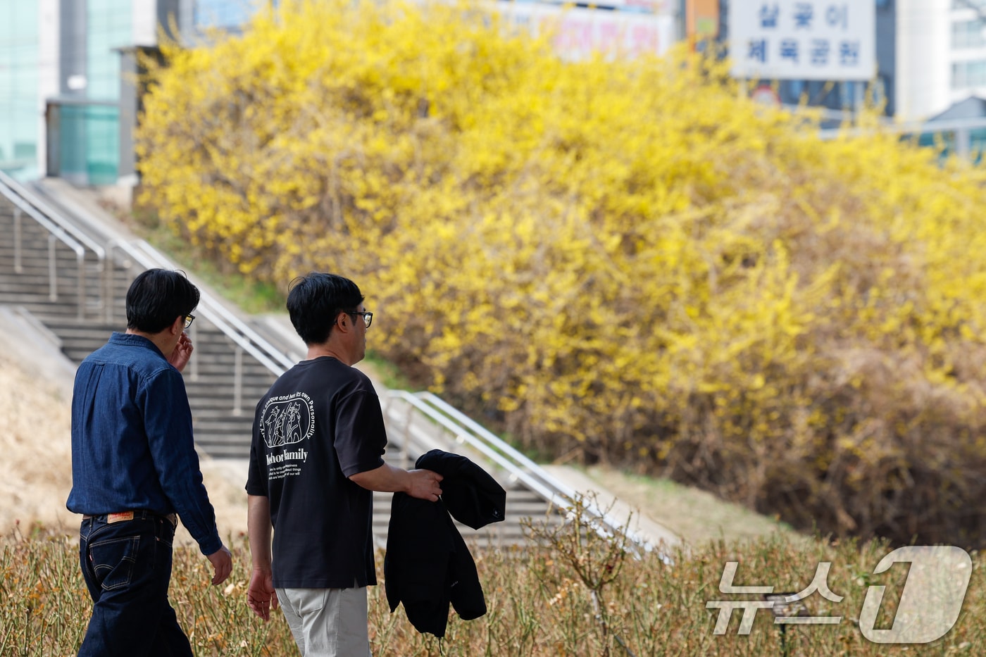 자료사진 ⓒ 뉴스1 안은나 기자