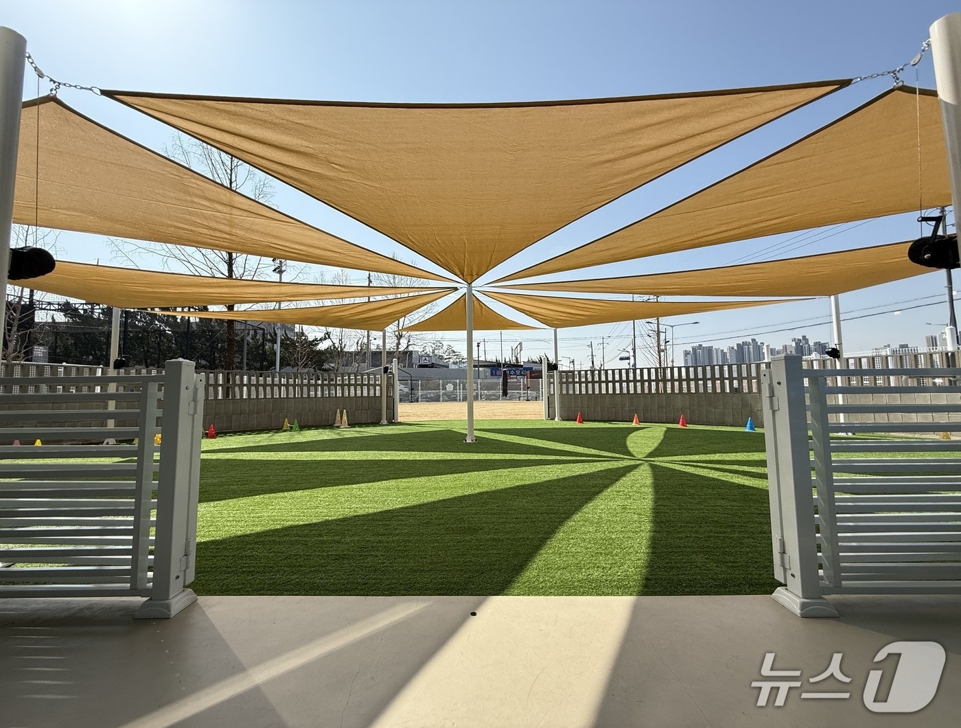 반려견 에너지파크 모습.(중구 제공. 재판매 및 DB금지)/뉴스1