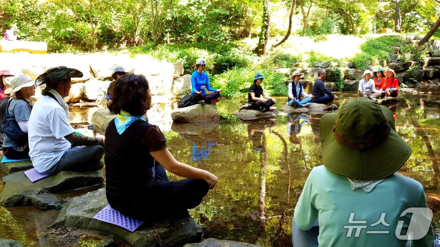 합천군 '오도산 치유의 숲' 프로그램(합천군 제공. 재판매 및 DB금지).