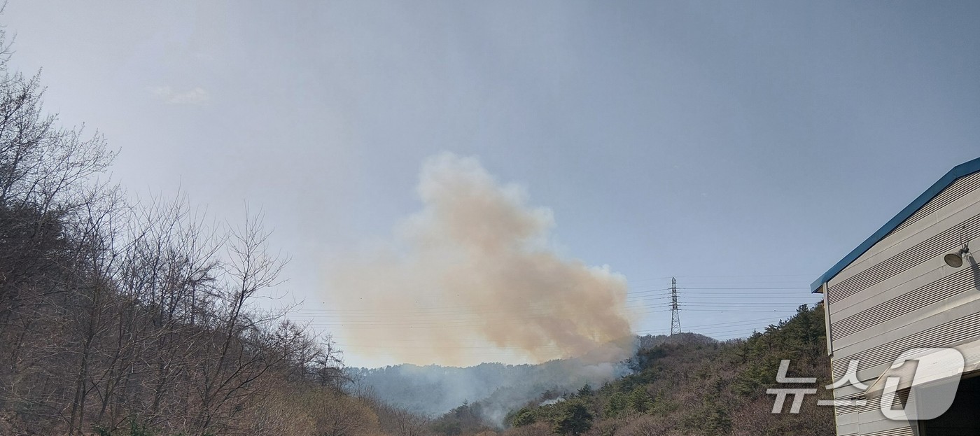 천안 입장면 산불.(산림청 제공. 재판매 및 DB금지)