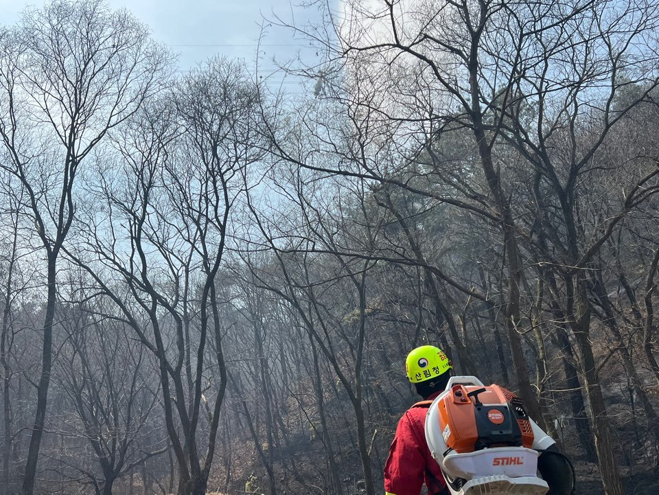 천안 입장면 산불 현장.(산림청 제공. 재판매 및 DB금지)/뉴스1