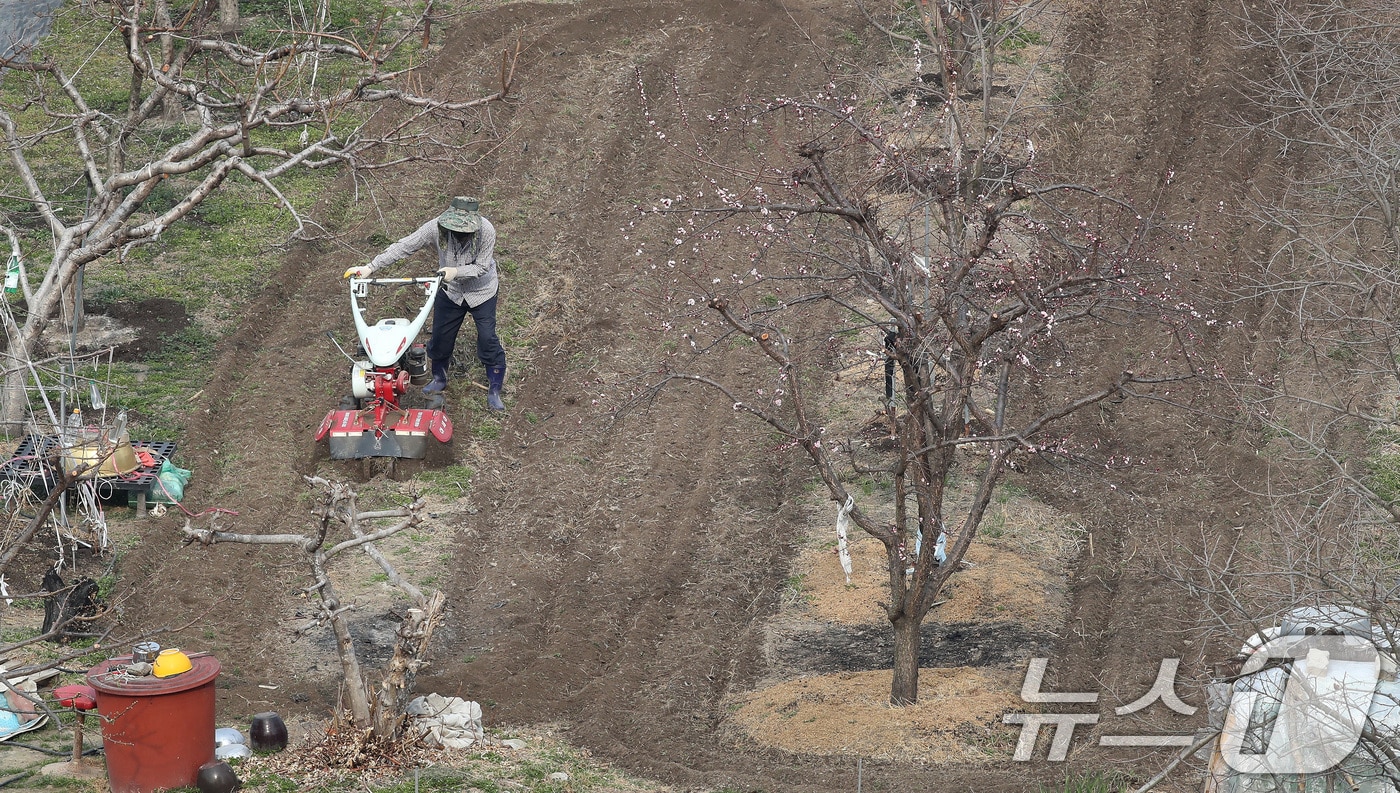 대구의 낮 기온이 18도를 넘어 포근한 날씨를 보인 24일 대구 수성구의 밭에서 농사를 준비하는 농부의 손길이 분주하다. 2026.3.24 ⓒ 뉴스1 공정식 기자