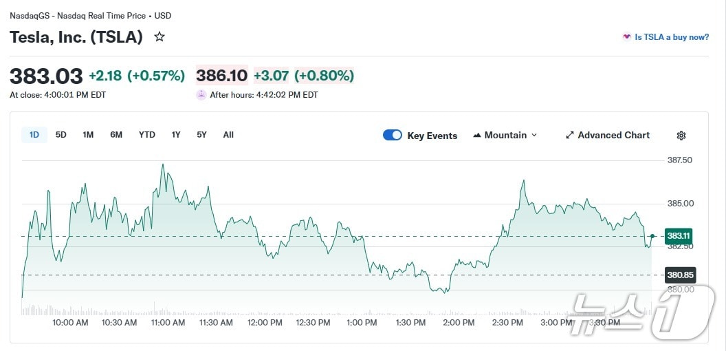 테슬라 일일 주가 추이 - 야후 파이낸스 갈무리