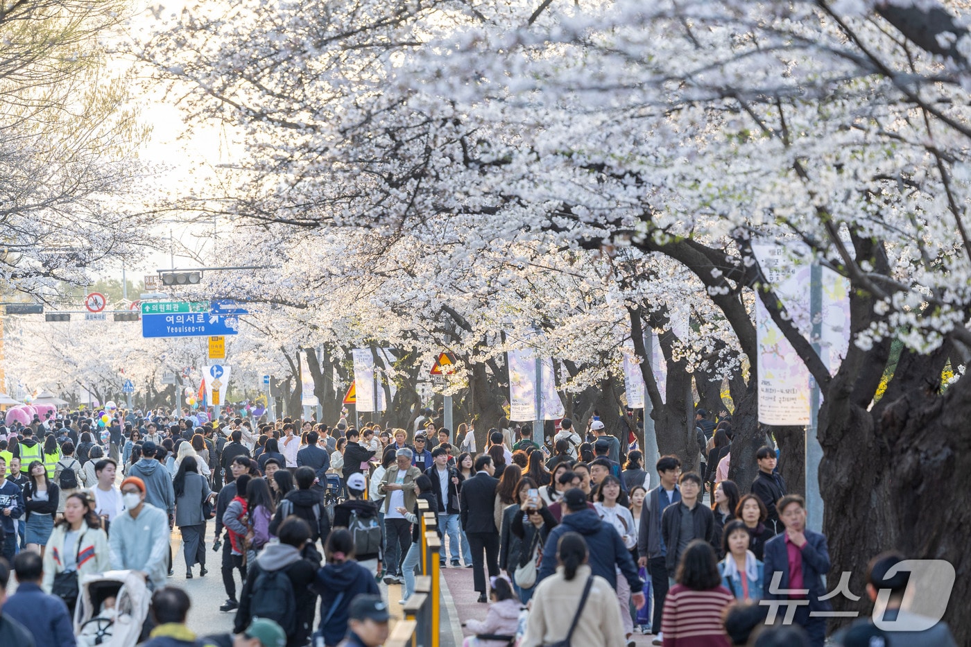 지난해 여의도 벚꽃축제 현장.(영등포구 제공)