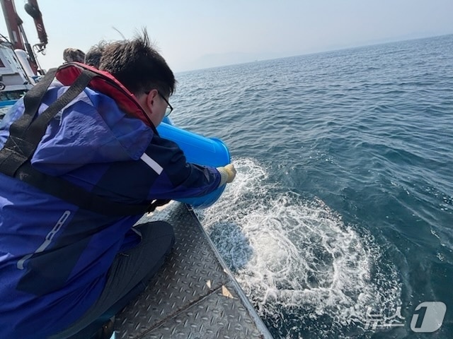 강원특별자치도, 겨울철 대표어종 대구 종자 무상방류.(강원도 제2청사 제공, 재판매 및 DB 금지) 2026.3.25/뉴스1