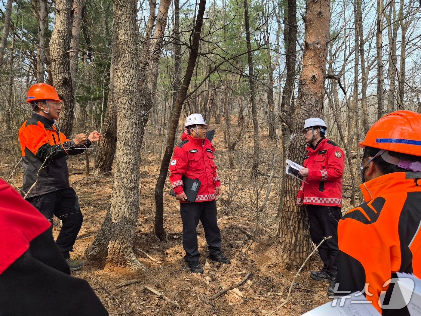 최수천 동부지방산림청장(사진 오른쪽 세번째)이 지난 23일 강원 동해지역 소나무재선충병 방제 현장을 살피고 있다.(동부산림청 제겅, 재판매 및 DB 금지) 2026.3.25/뉴스1