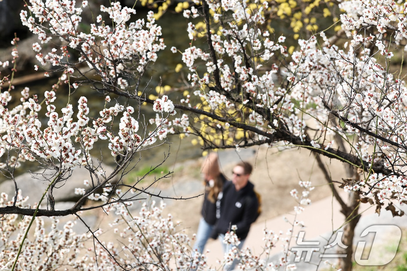 〈자료사진〉