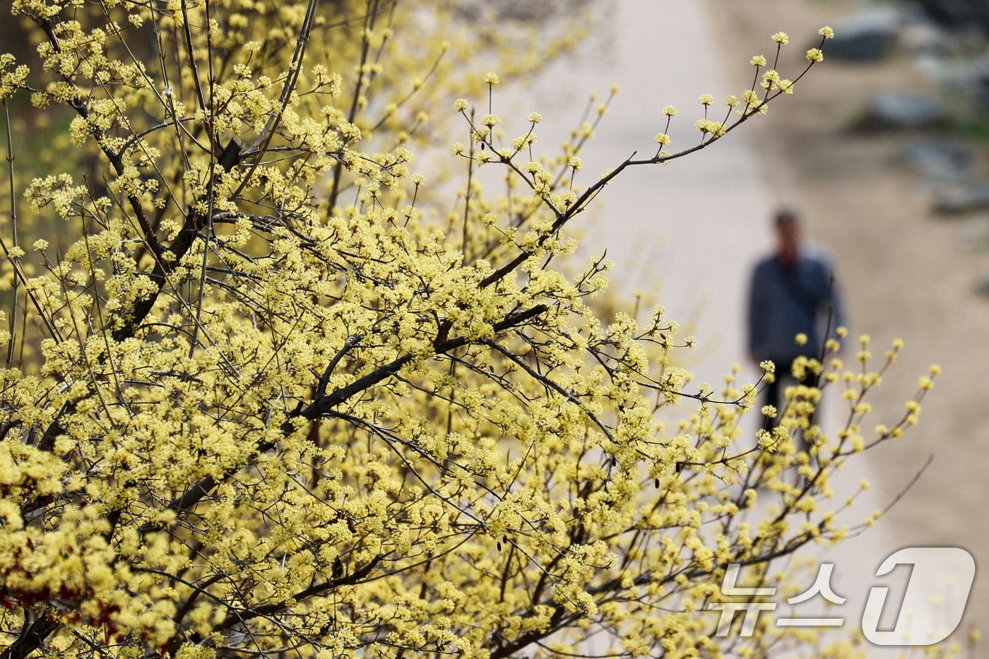 <자료사진> 2026.3.26 ⓒ 뉴스1 임지훈 기자