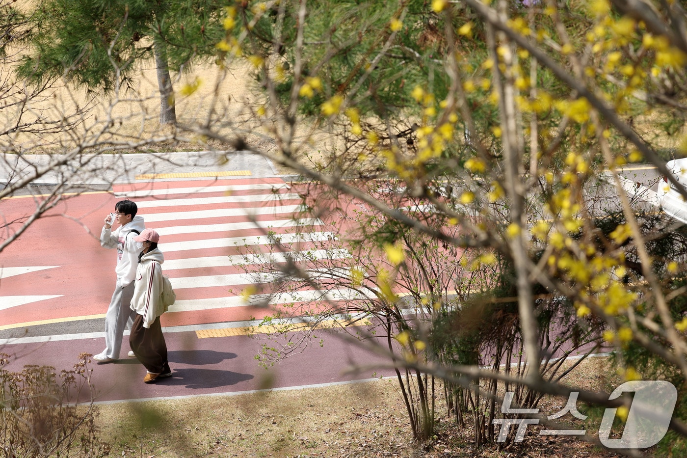 광주의 낮 기온이 22도까지 오른 26일 광주 광산구 호남대학교에서 학생들이 외투 없이 얇은 옷을 입고 길을 걷고 있다. 2026.3.26 ⓒ 뉴스1 이승현 기자