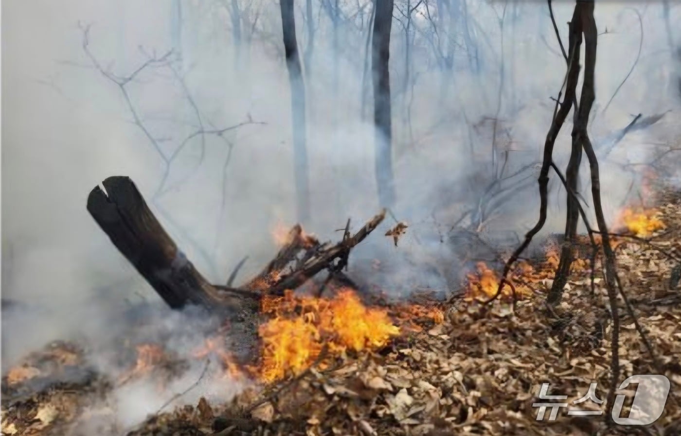 화재 현장. (경기도소방재난본부 제공. 재판매 및 DB 금지) 2026.3.26/뉴스1