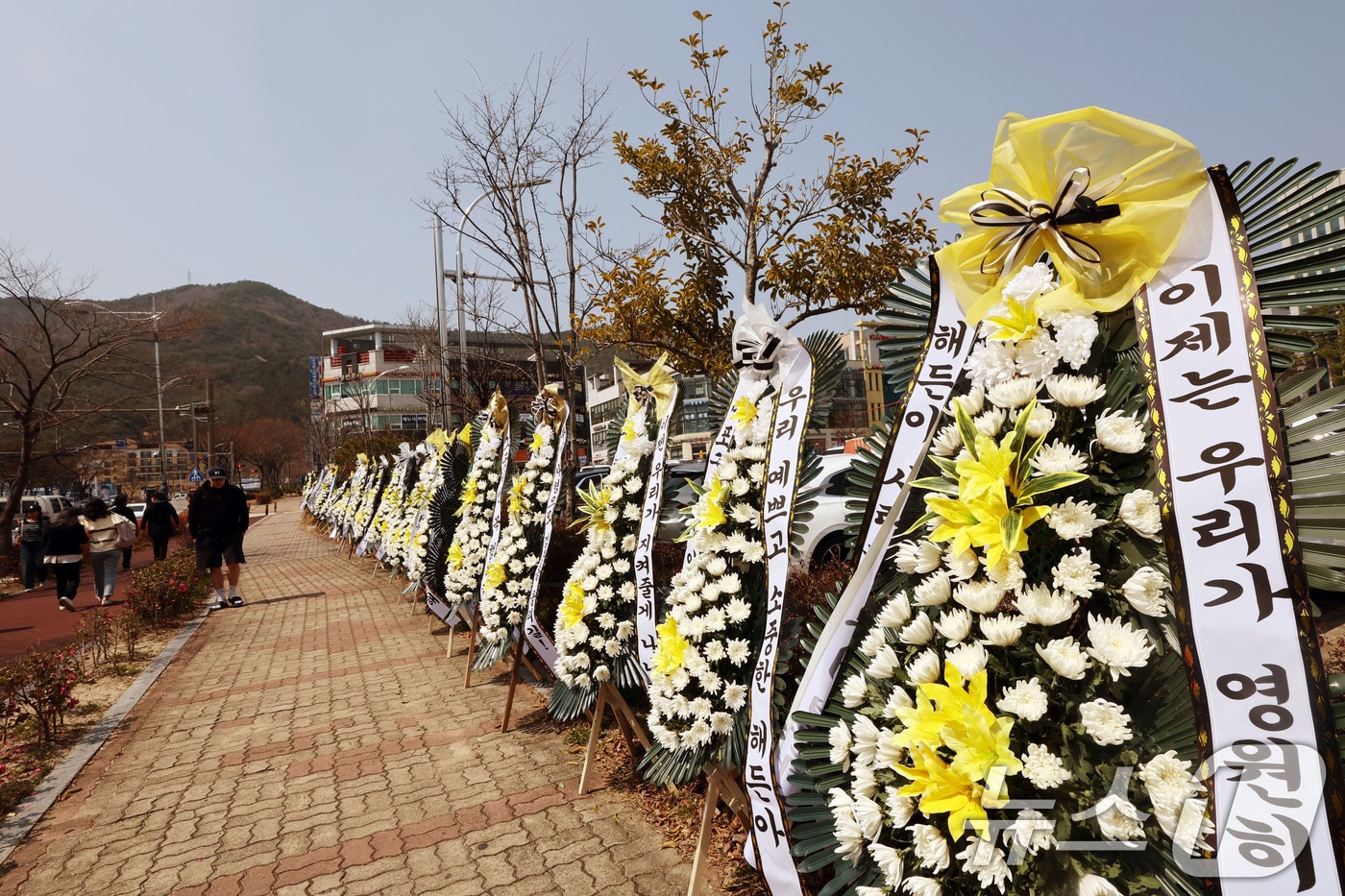 26일 광주지방법원 순천지원 앞 정문에서 부모의 학대로 숨진 생후 4월 아기 '해든이'를 위로하는 근조화환 140여 개가 놓여 있다. 2026.3.26 ⓒ 뉴스1 박지현 기자