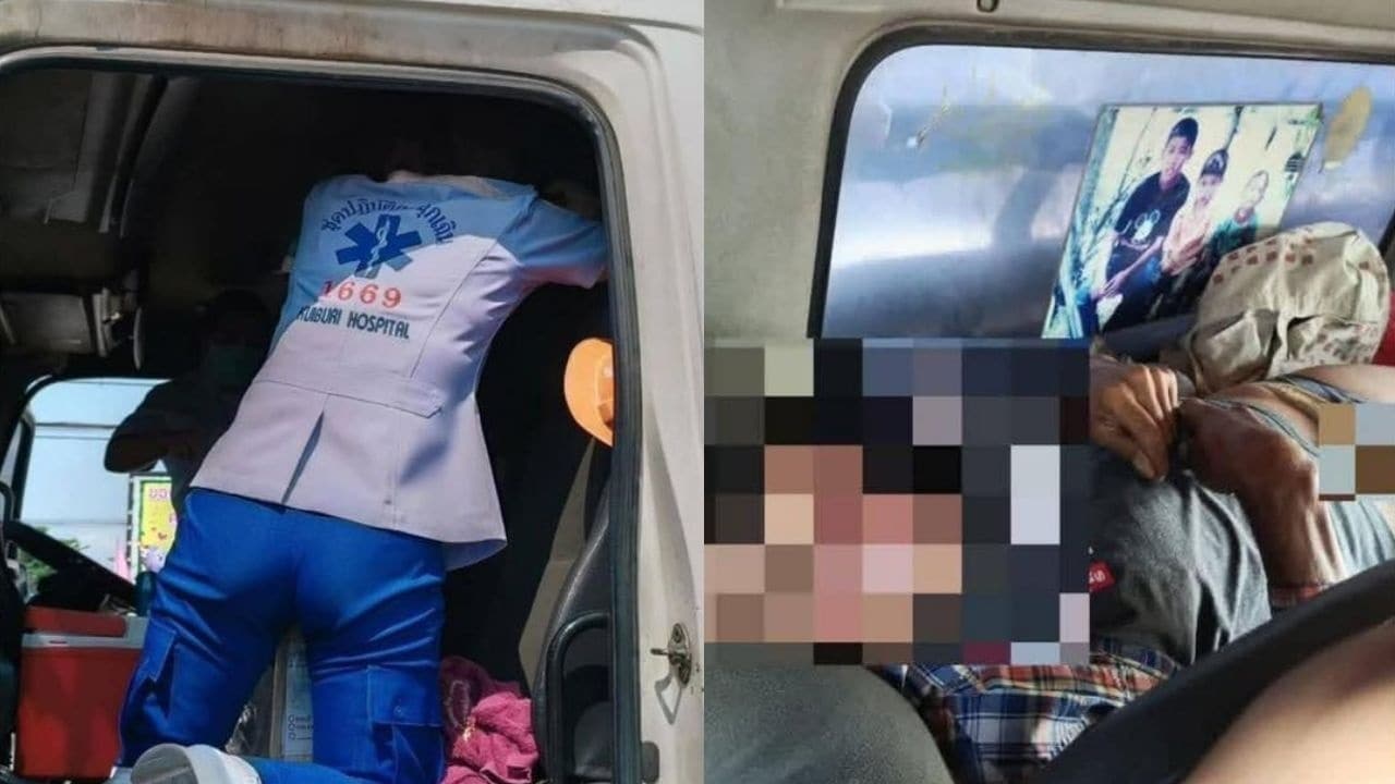 (더 타이거 갈무리)