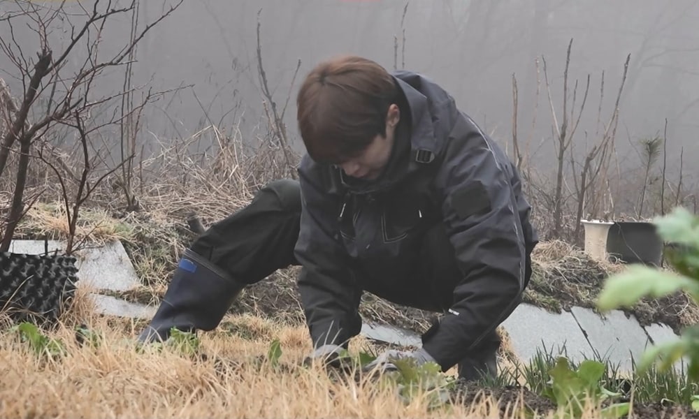 뉴스1 보도에 포함된 배인혁 파묘 예고 관련 이미지