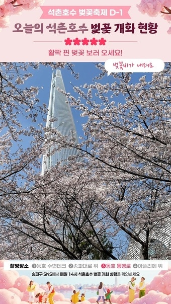 벚꽃카운트다운(송파구 제공)