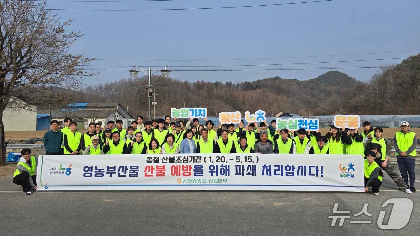 영농부산물 파쇄 일손돕기.(농협중앙회 강원본부 제공. 재판매 및 DB금지)/뉴스1