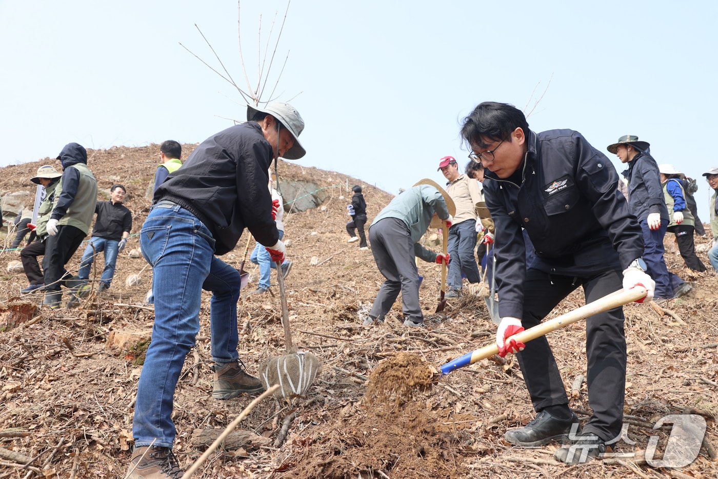 전북 진안군이 '명품홍삼 집적화단지' 부지에서 이팝나무를 심고 있다.(진안군제공, 재판매 및 DB금지)2026.3.27/뉴스1