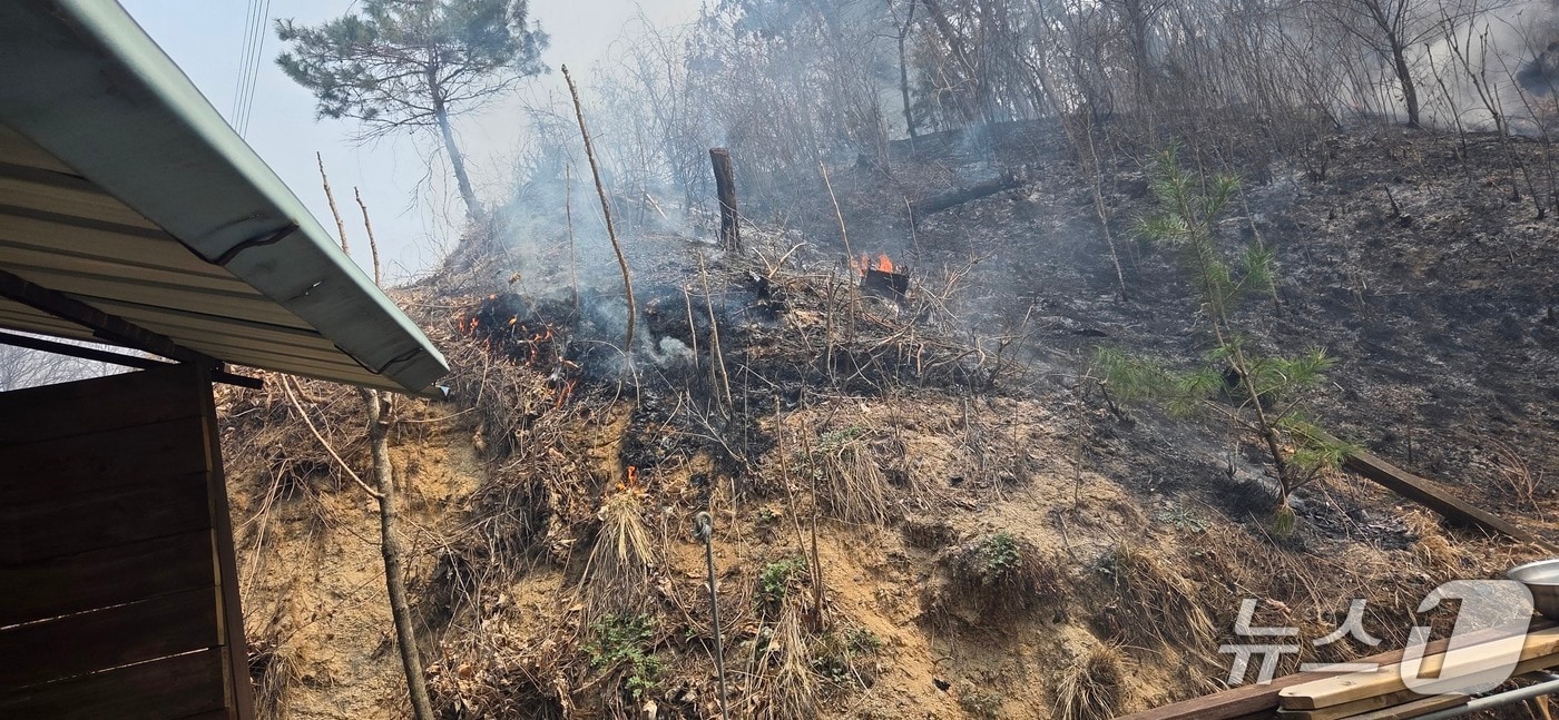 강원 원주 소초면 평장리 산불 현장.(산림청 제공, 재판매 및 DB금지)