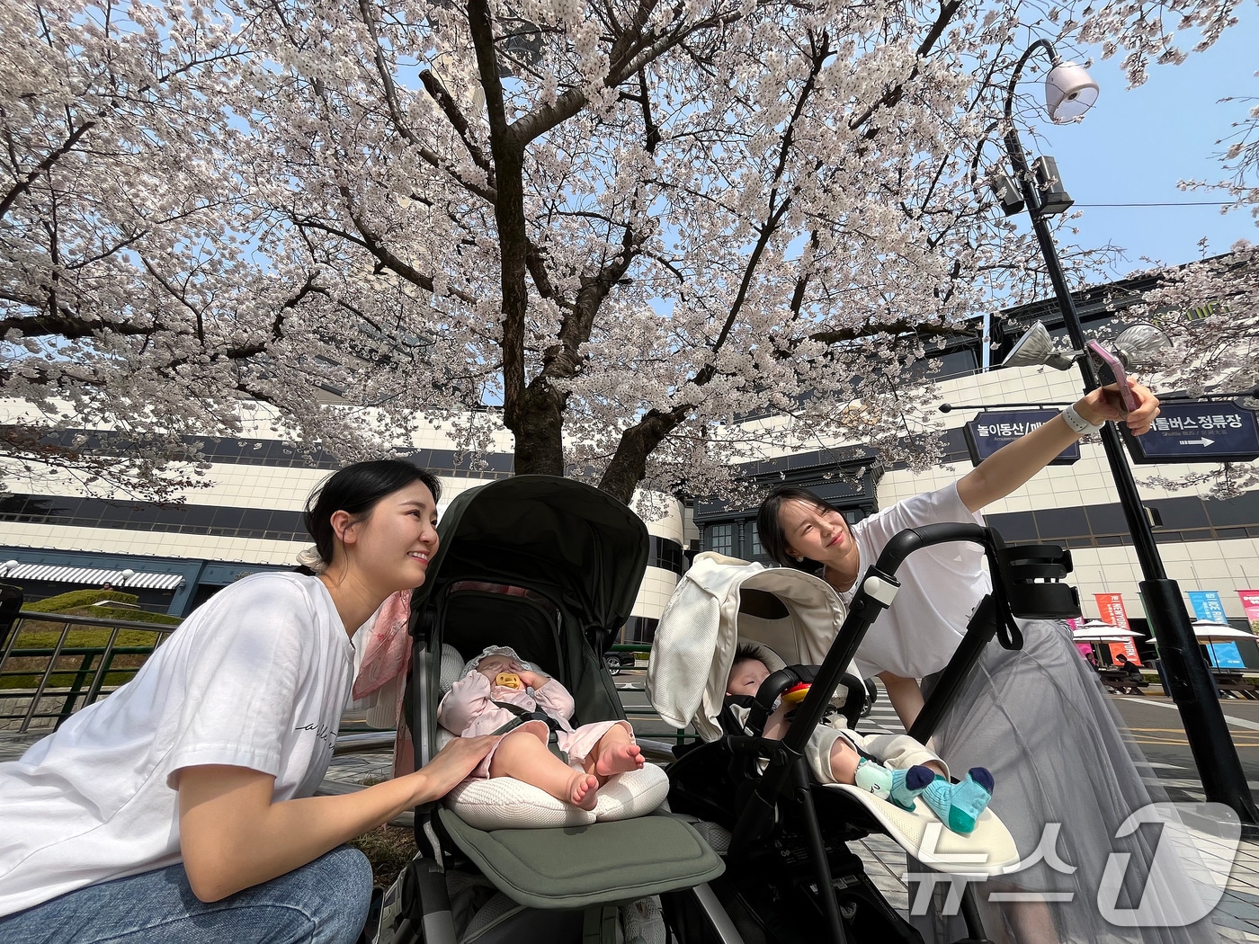 27일 대구 달서구 테마파크 이월드를 찾은 시민들이 곱게 핀 벚꽃을 배경으로 기념사진을 찍고 있다. 2026.3.27 ⓒ 뉴스1 공정식 기자