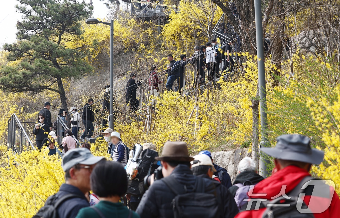 지난 27일 서울 성동구 응봉산에서 시민들이 꽃놀이를 즐기고 있다. ⓒ 뉴스1 김민지 기자