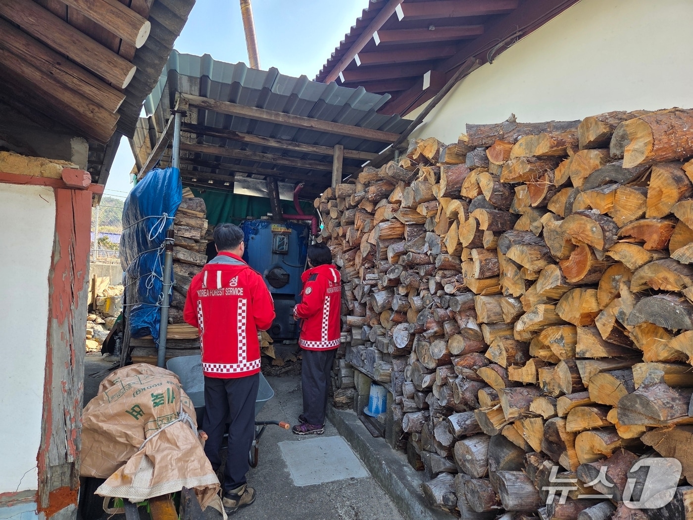 화목 농가 단속 현장.(동부산림청 제공, 재판매 및 DB 금지) 2026.3.27/뉴스1