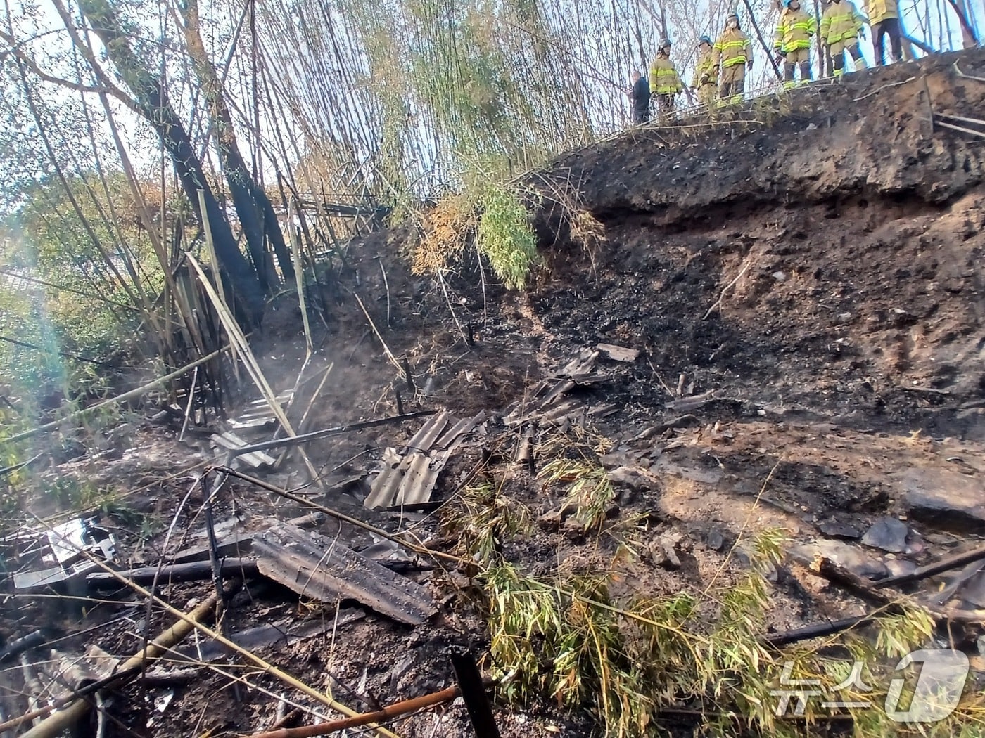 27일 오후 2시 36분께 전북 고창군 고창읍의 한 대나무밭에서 화재가 발생해 약 1시간 만에 진화됐다.(전북소방본부 제공. 재판매 및 DB금지)