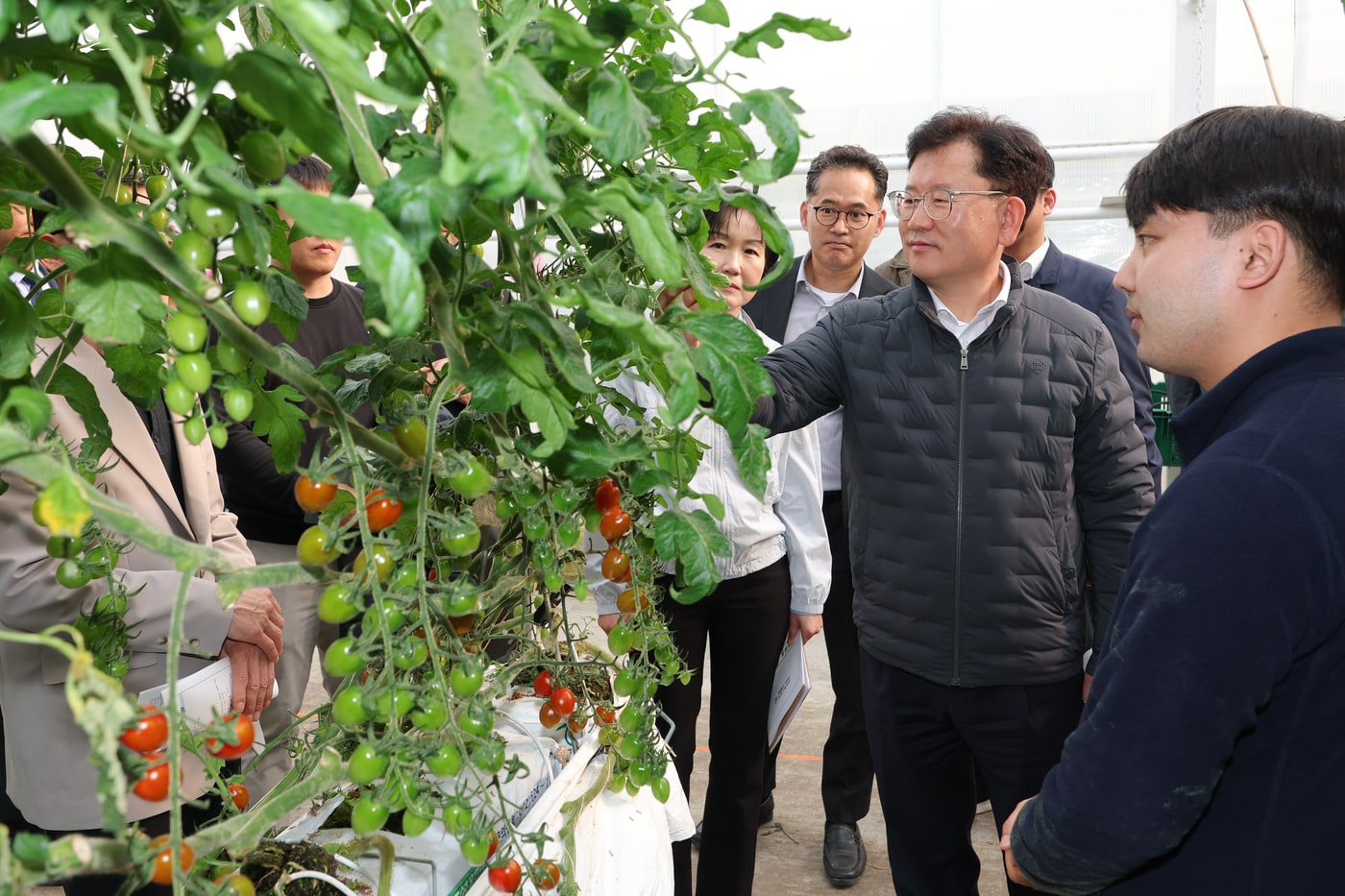 이승돈 농촌진흥청장은 27일 충남 부여군에서 시설토마토 재배 농가를 방문해 생육 상황을 점검했다.(농촌진흥청 제공. 재판매 및 DB금지) 2026.3.27/뉴스1