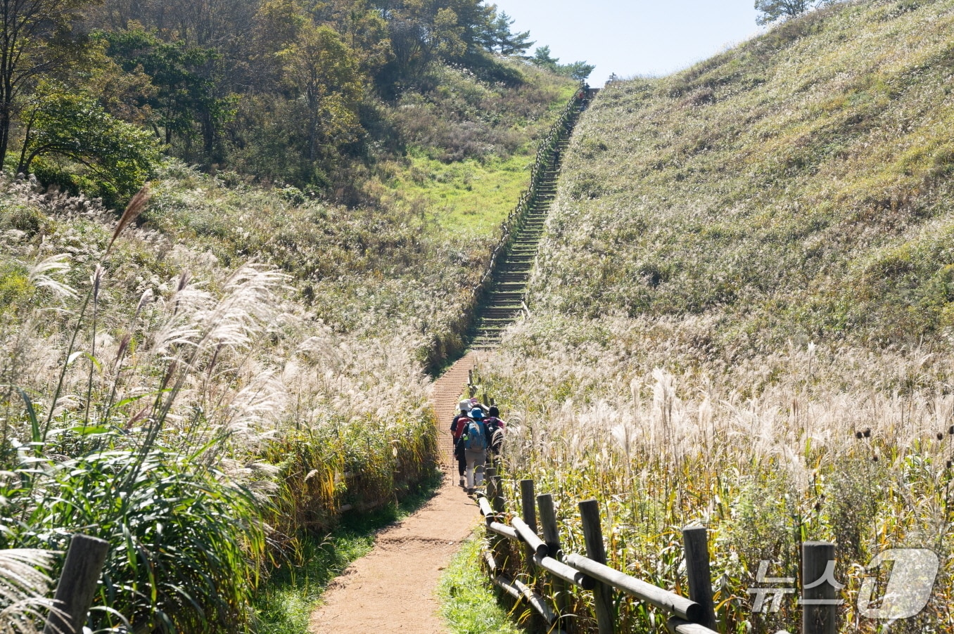 강원 정선군 민둥산. (정선군 제공. 재판매 및 DB금지) 2026.3.27/뉴스1