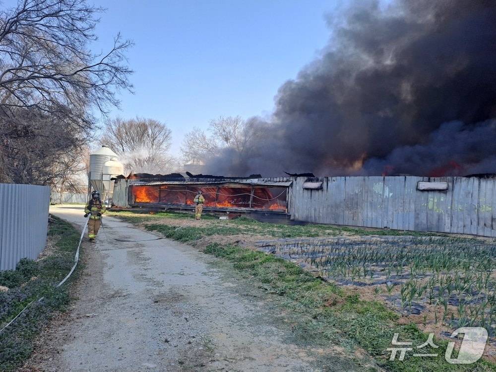 28일 오전 11시 28분께 전북 부안군 주산면 한 양계장에서 발생한 화재가 3시간 만에 진화됐다.(소방제공, 재판매 및 DB금지)2026.3.28/뉴스1