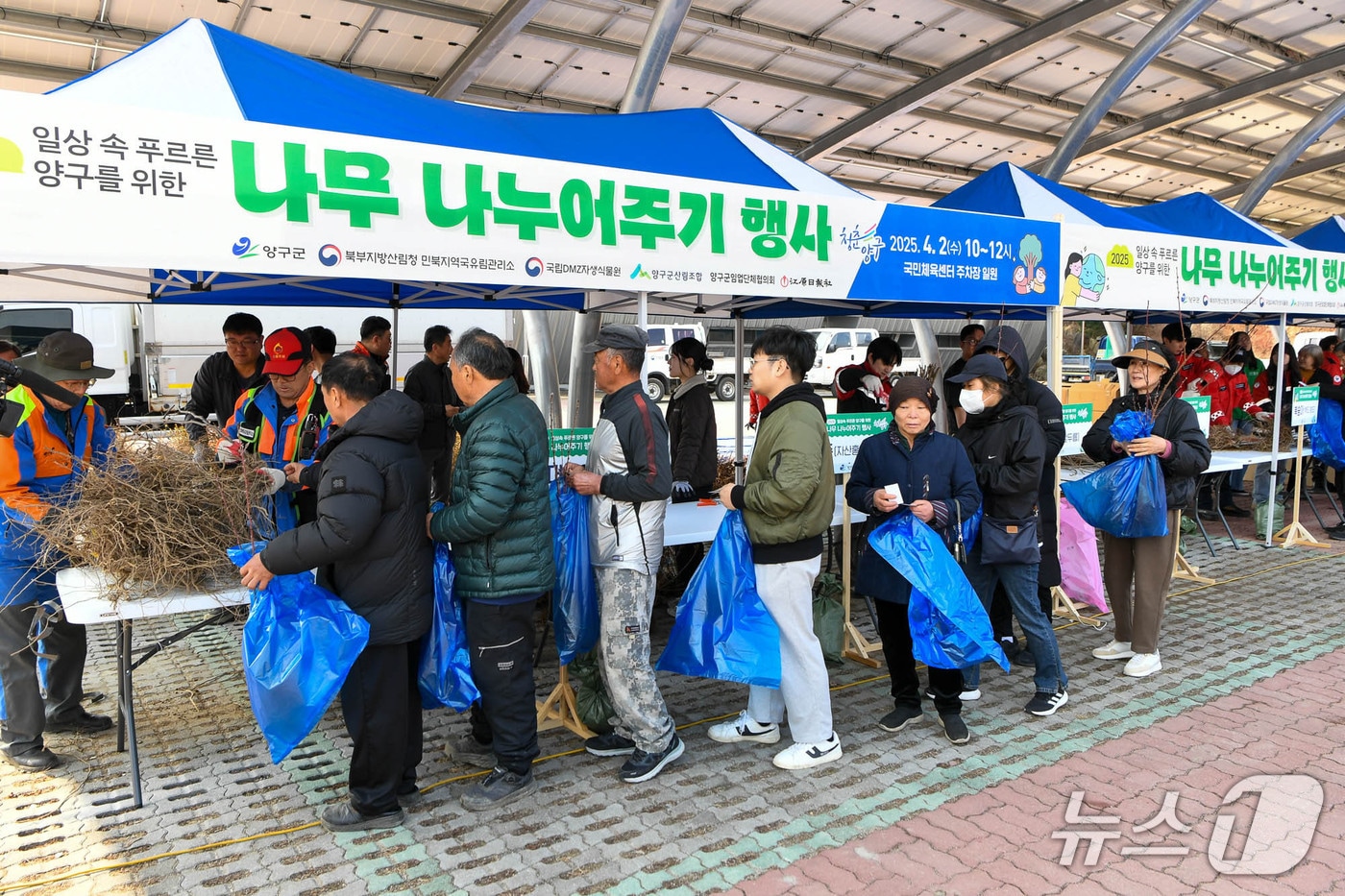 지난해 열린 양구군, 나무나누어주기 행사 현장.(양구군 제공, 재판매 및 DB금지)