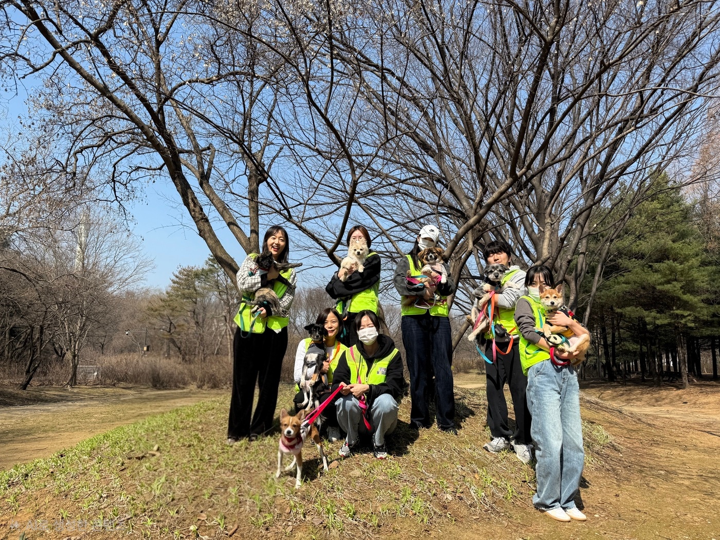 에쓰오일(S-OIL) 임직원들이 서울시립동물복지지원센터 내 유기견들과 산책을 나선 뒤 기념 사진을 촬영한 모습(자료사진. 에쓰오일 제공). 2026.3.29.