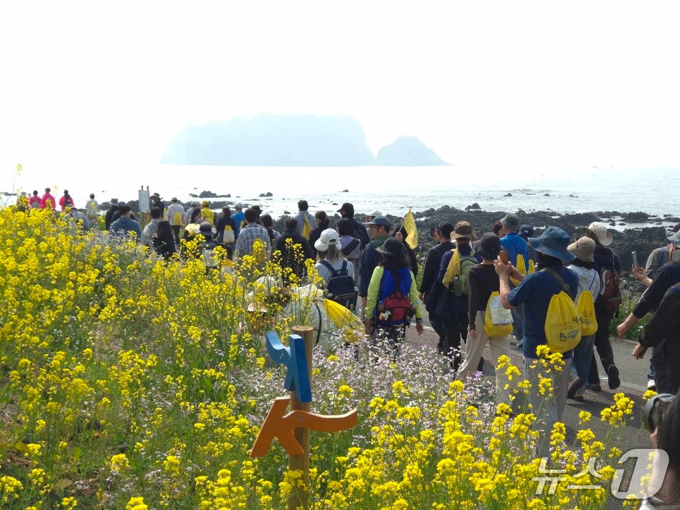 서귀포 유채꽃 걷기 대회(서귀포시 제공. 재판매 및 DB금지)/뉴스1