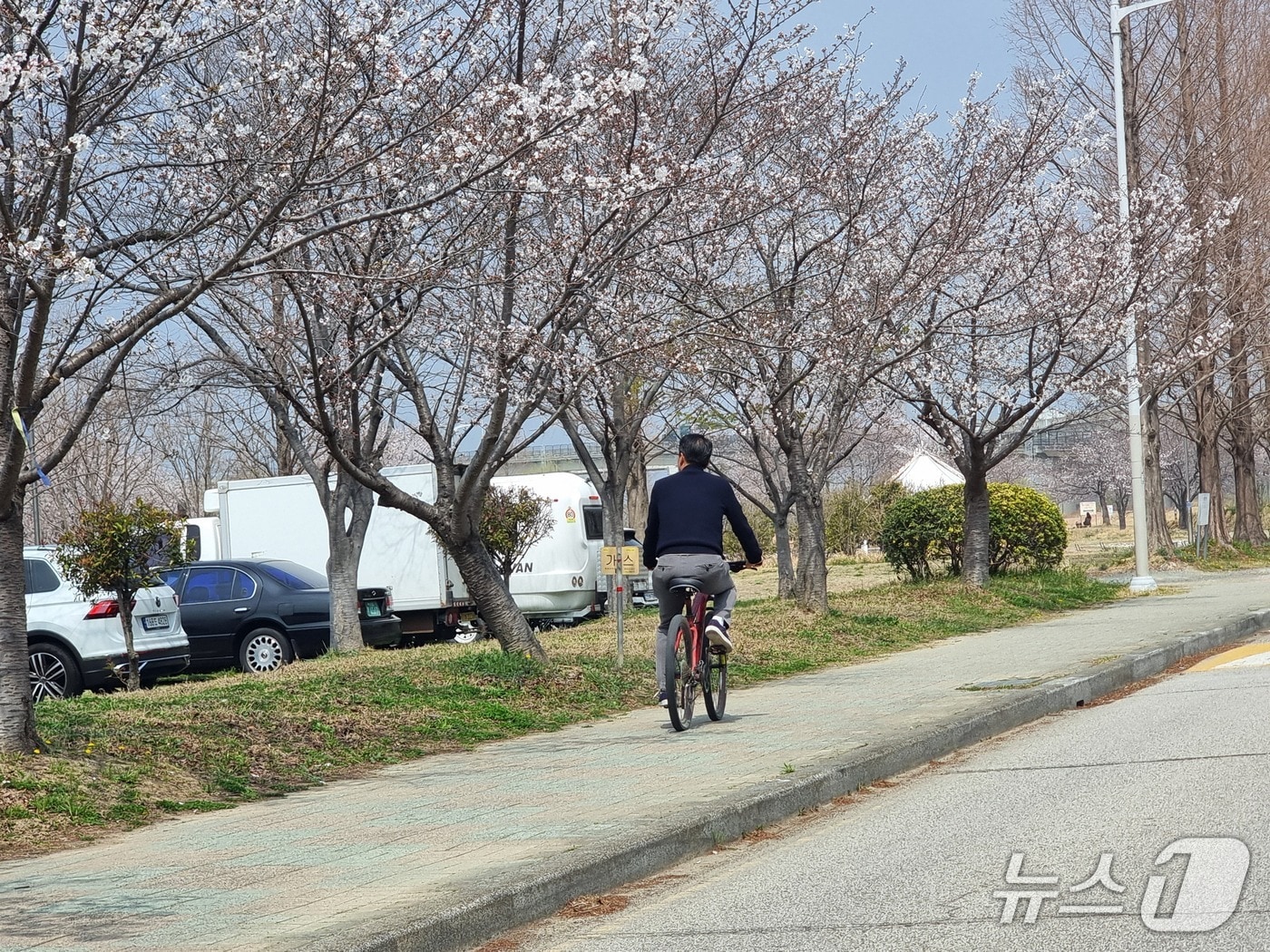 3월의 마지막 휴일인 29일, 따뜻한 봄 날씨를 맞은 부산은 주요 벚꽃 명소와 화명생태공원에는 야외 활동을 즐기려는 시민들로 종일 북적였다. 2026.3.29/뉴스1 ⓒ News1 임순택 기자