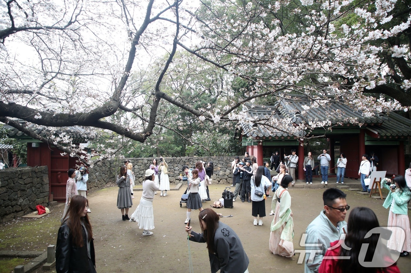 제주 관광객(자료사진)/뉴스1