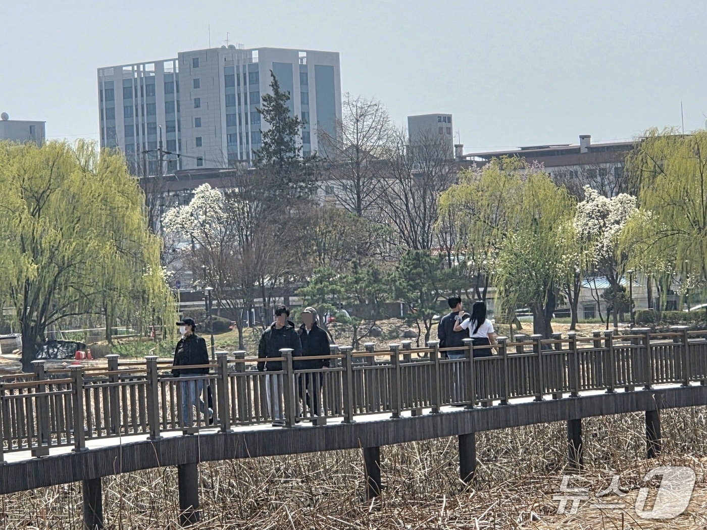 29일 낮 12시께 전북 전주시 덕진구 덕진공원에서 시민들이 산책하고 있다.2026.3.29/뉴스1 문채연 기자