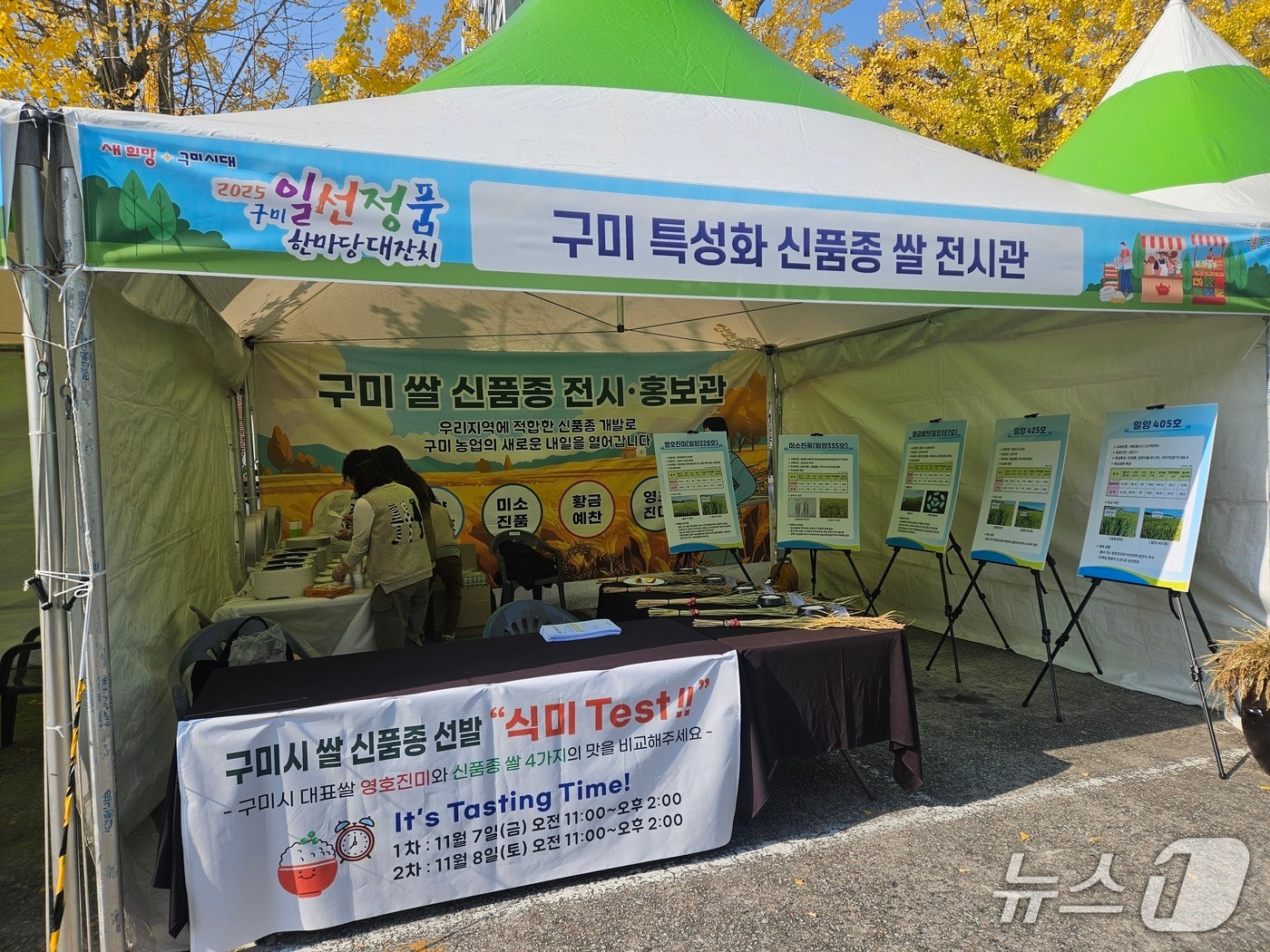 구미시가 개발한 '일선 진미' 쌀 전시관 모습.(구미시 제공. 재판매 및 DB금지)/뉴스1