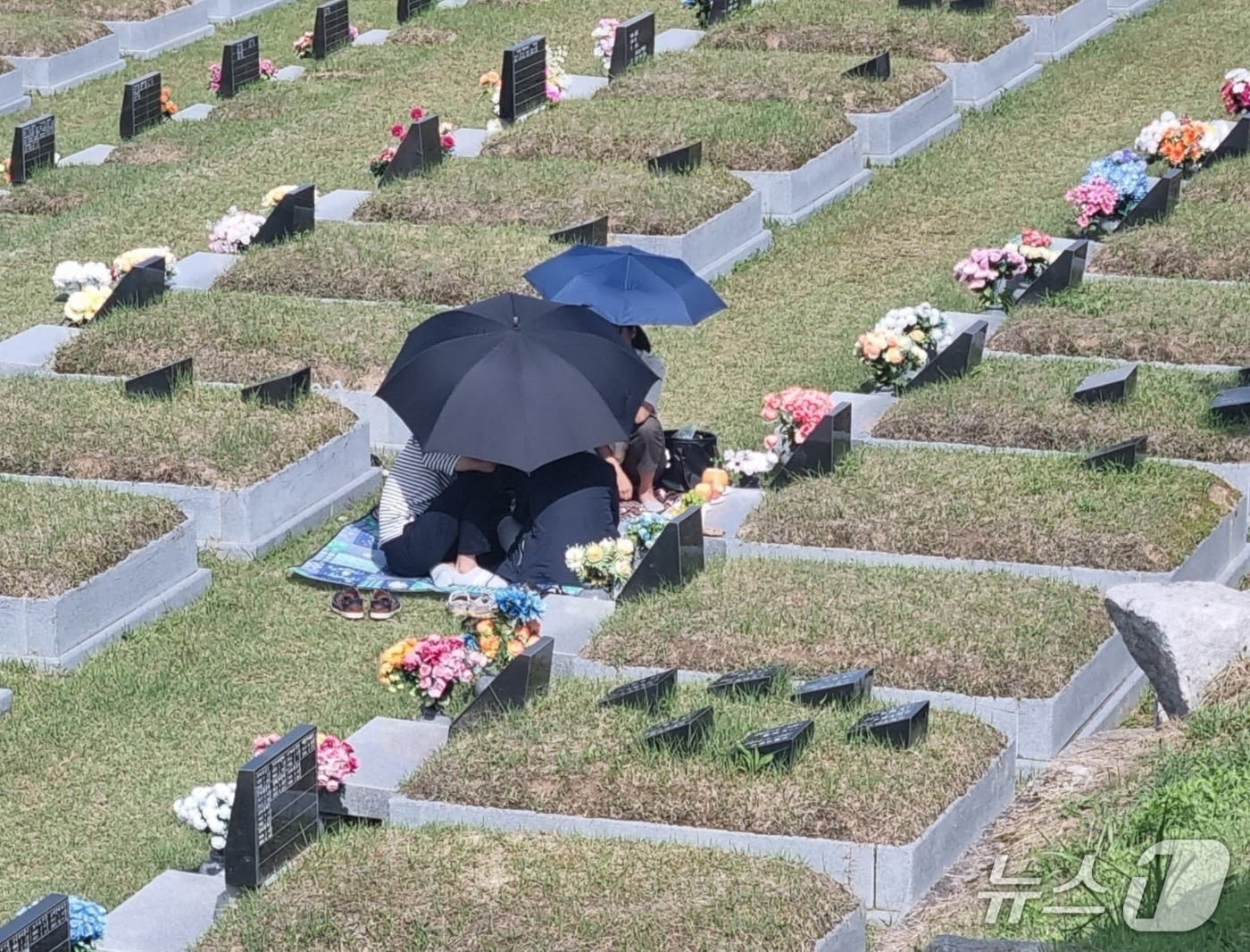강릉 청솔공원 성묘객 자료사진.(뉴스1 DB)