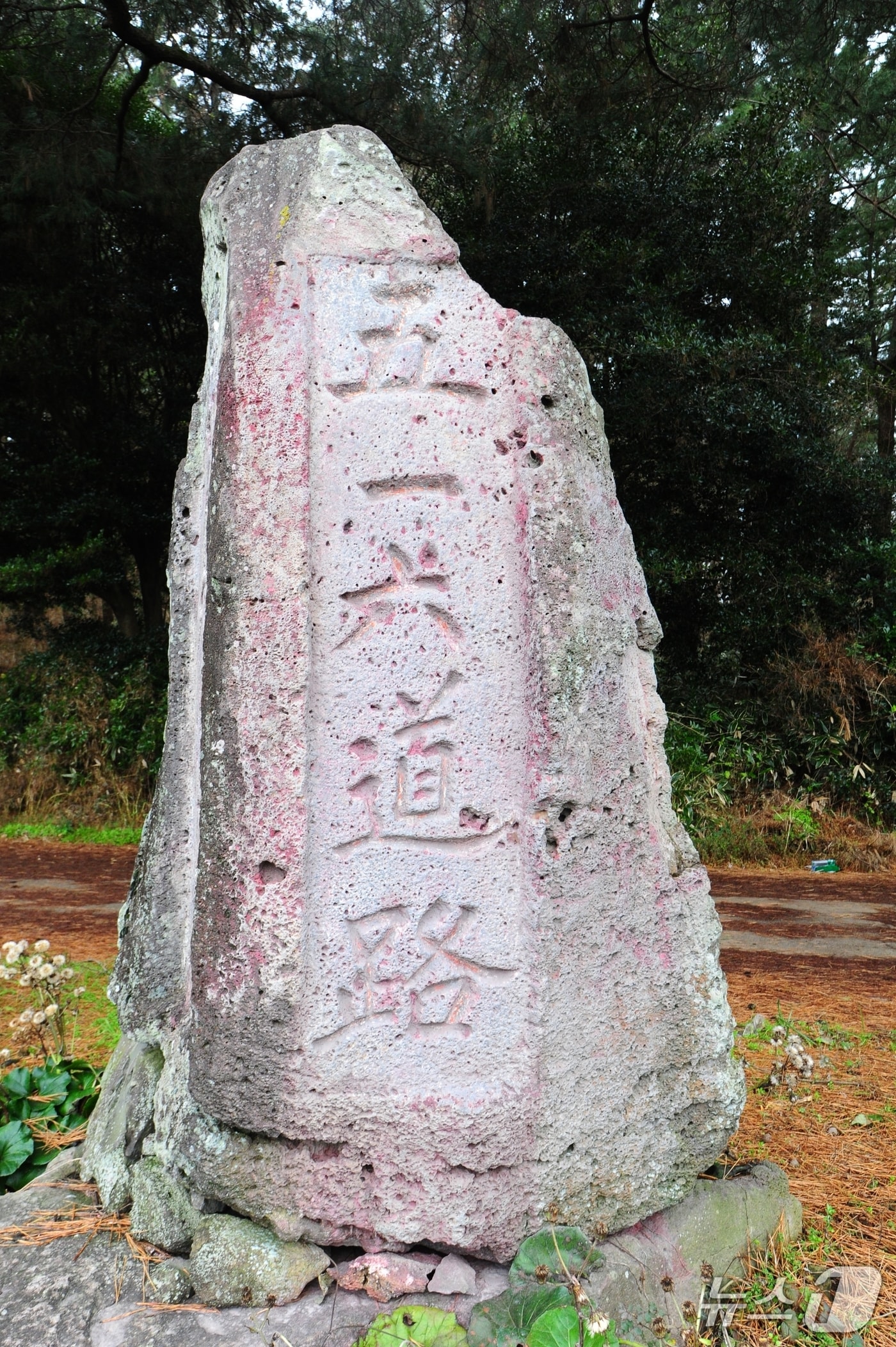 제주시 516로에 세워진 '516도로' 도로명비.2017.01.09/뉴스1 ⓒ News1 DB