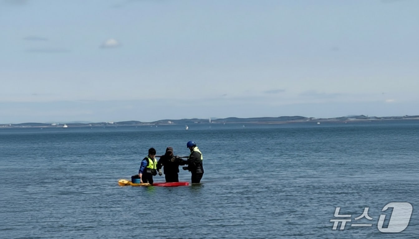  해경이 갯벌에 고립된 50대를 구조 중인 모습. (평택해경 제공, 재판매 및 DB금지) / 뉴스1