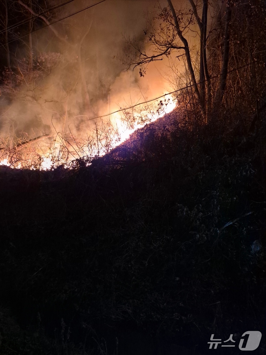  홍성 장곡면 산불 현장. (산림청 제공, 재판매 및 DB금지) / 뉴스1