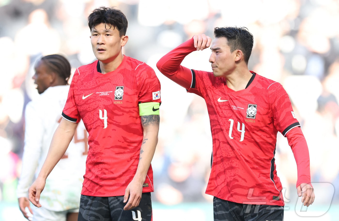 홍명보호 관련 보도 이미지