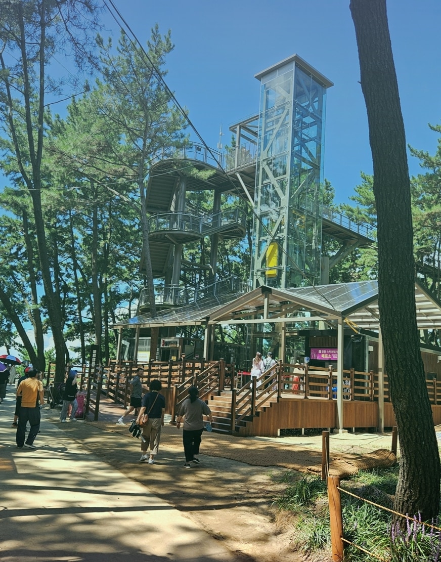 서천 장항스카이워크 매표소 전경.(서천군 제공. 재판매 및 DB금지)/뉴스1