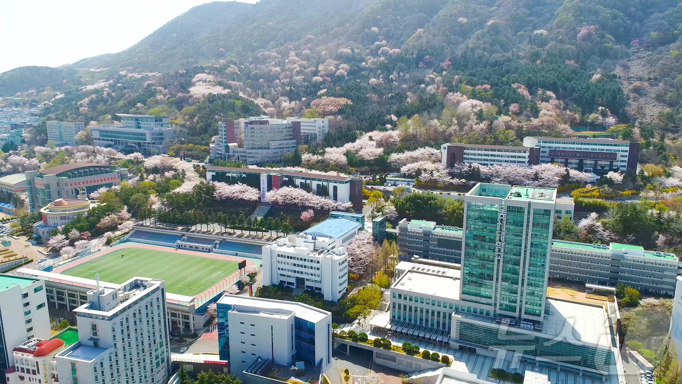 동서대학교 주례캠퍼스 전경. (동서대 제공. 재판매 및 DB 금지)